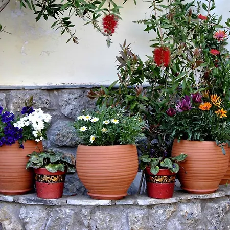 Aparthotel Filoxenia